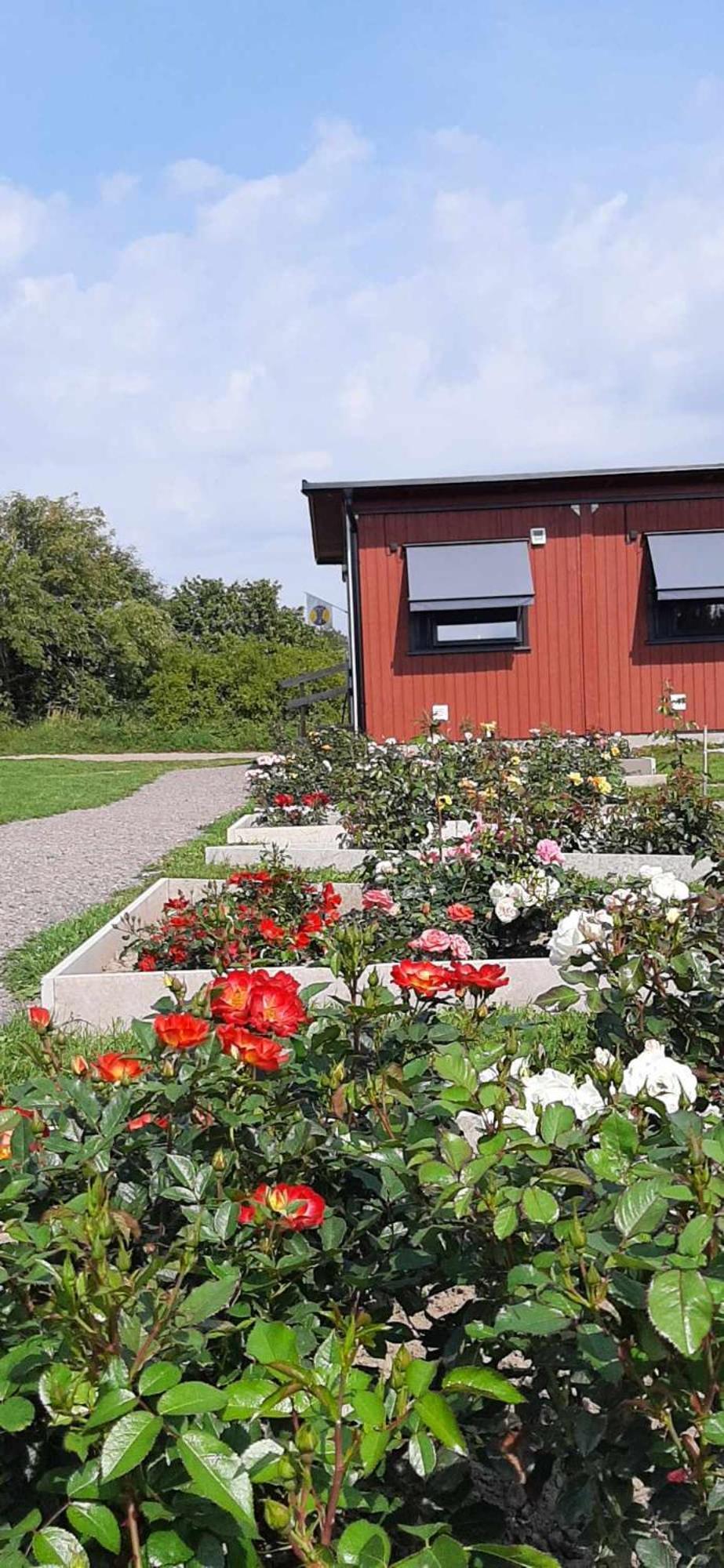 Stf Station Linne Farjestaden Bagian luar foto